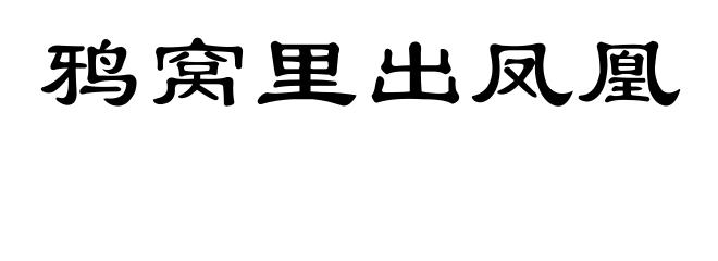 鸦窝里出凤凰