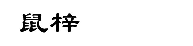 鼠梓