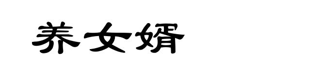 养女婿
