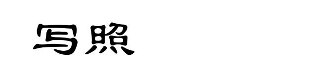 写照
