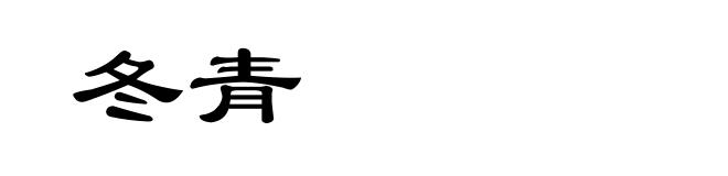 冬青