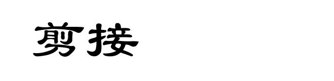 剪接