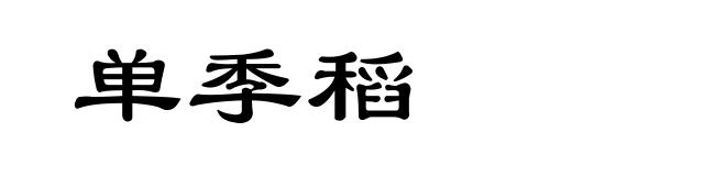 单季稻
