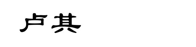 卢其