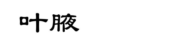 叶腋
