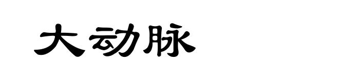 大动脉