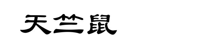 天竺鼠