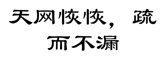 天网恢恢,疏而不漏