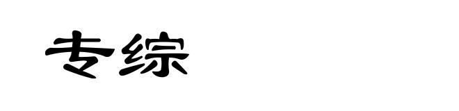 专综