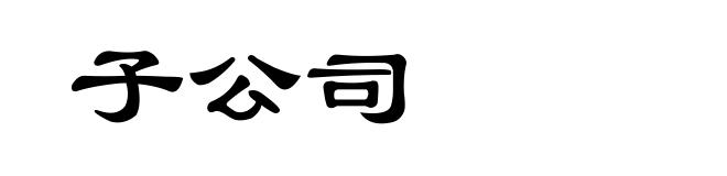 子公司