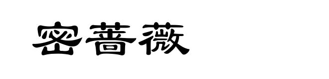 密蔷薇