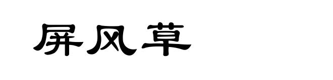 屏风草