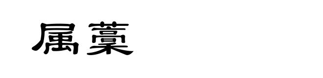 属藳