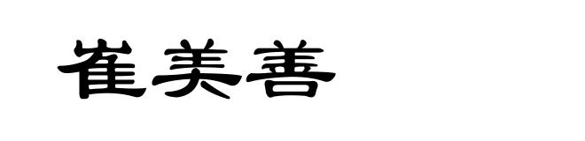 崔美善