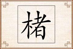 楮怎么写