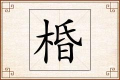棔怎么写