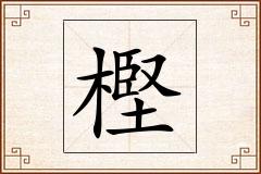 樫怎么写