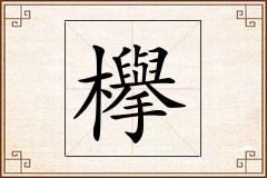 欅怎么写