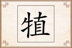 犆怎么写