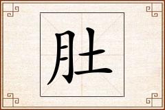 肚怎么写