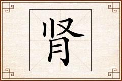 肾怎么写