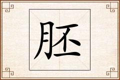 胚怎么写