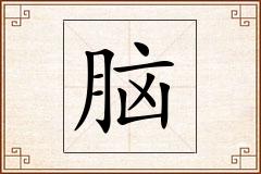 脑怎么写