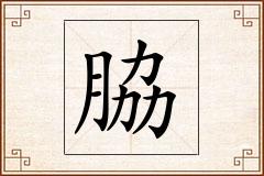 脇怎么写