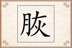 脄怎么写