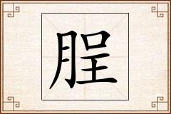 脭怎么写