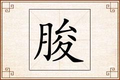 朘怎么写