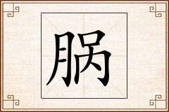 脶怎么写