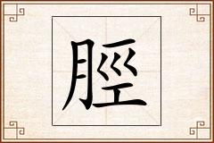 脛怎么写