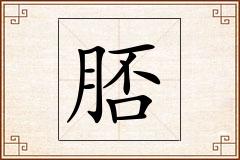 脴怎么写