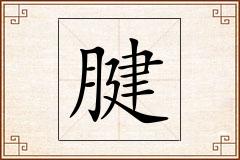 腱怎么写
