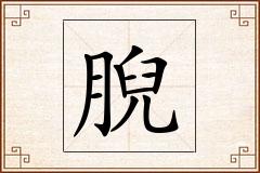 腉怎么写