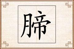 腣怎么写
