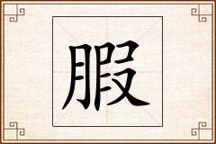 腵怎么写