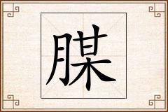 腜怎么写