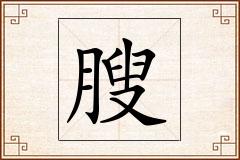 膄怎么写