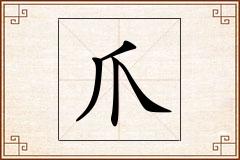 爪怎么写
