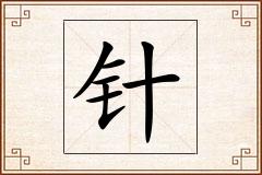 针怎么写
