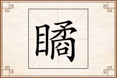 瞲怎么写