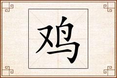 鸡怎么写