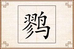 鹨怎么写