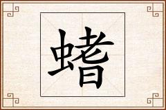 螧怎么写