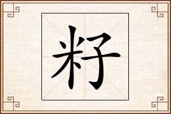 籽怎么写