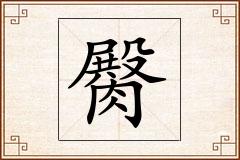 臋怎么写