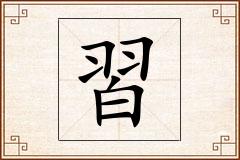 習怎么写