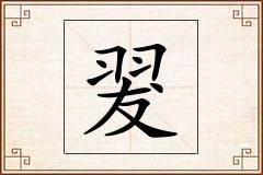 翇怎么写